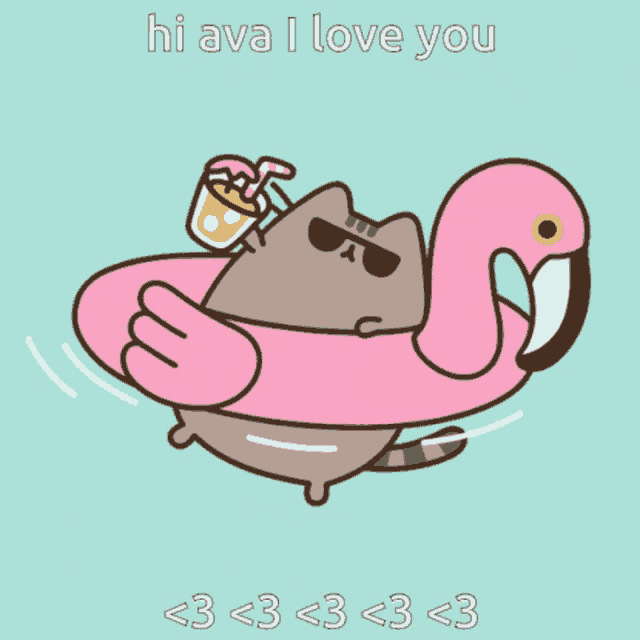 a cat in a flamingo float with the words hi ava i love you