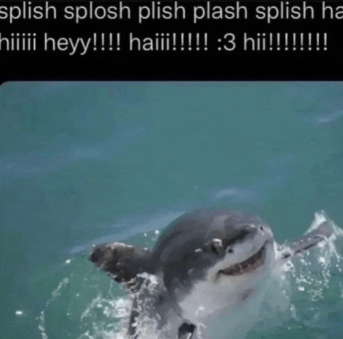 a picture of a shark with the caption " splish splish splish splish splish splish ha "