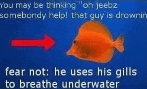 a red arrow points to a fish that is drowning