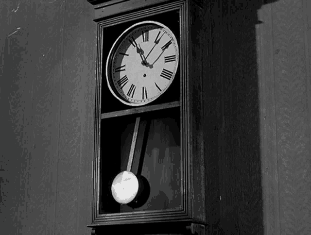 a black and white photo of a grandfather clock with roman numerals on it