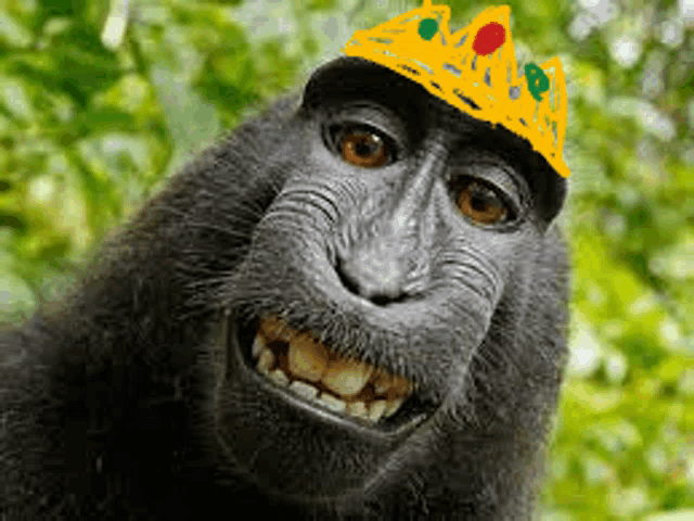 a monkey with a crown on its head is smiling for the camera