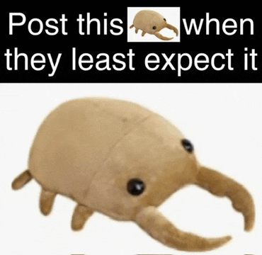 a picture of a stuffed animal with the words post this when they least expect it