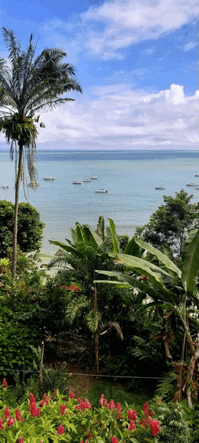 a view of a body of water with boats in the distance