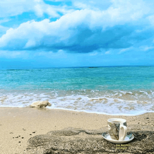 a cup of coffee sits on a rock on the beach near the ocean