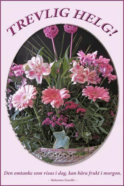 a picture of pink flowers with the words trevlig helg