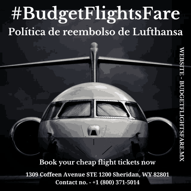 an ad for budget flights fare shows a plane