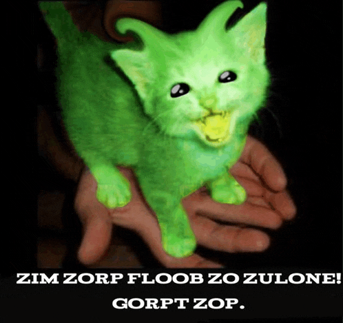 a person is holding a green cat that says gorpt zop