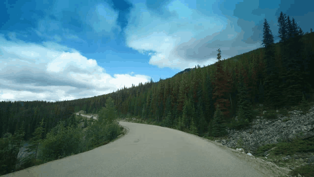 a road with trees on both sides and a blue sky in the background