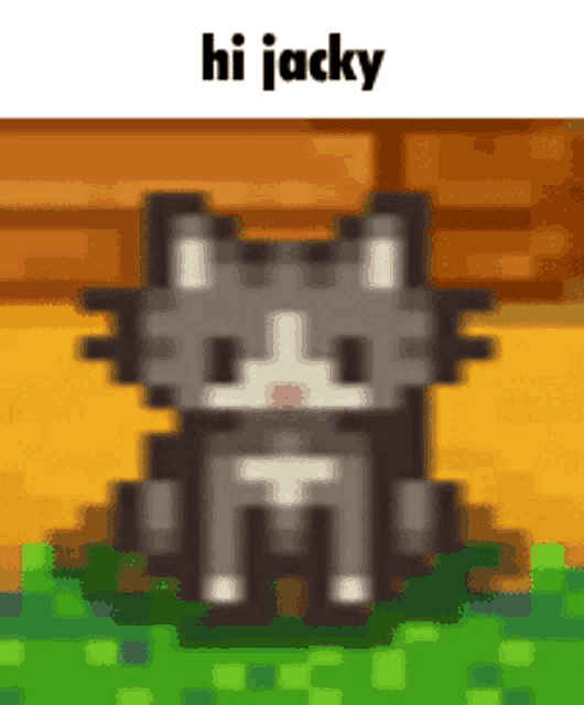 a pixel art of a cat sitting in the grass with the words `` hi jacky '' above it .