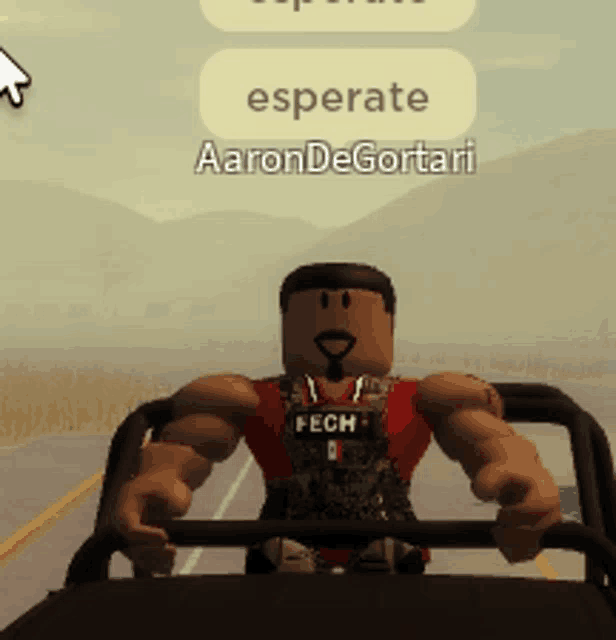 a roblox character named aaron degortari is driving a car