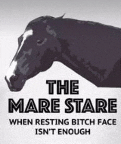 a black horse with the words the mare stare when resting bitch face isn 't enough on it