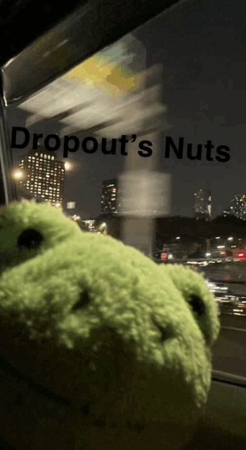 a stuffed frog sits in front of a window with the words dropout 's nuts written on it