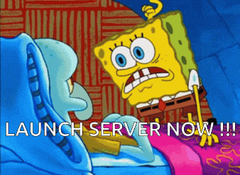 a cartoon of spongebob and squidward saying launch server now !!!