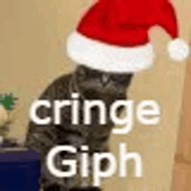 a cat wearing a santa hat with the words `` cringe giph '' written below it .