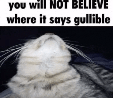 a picture of a cat with the words " you will not believe where it says gullible "