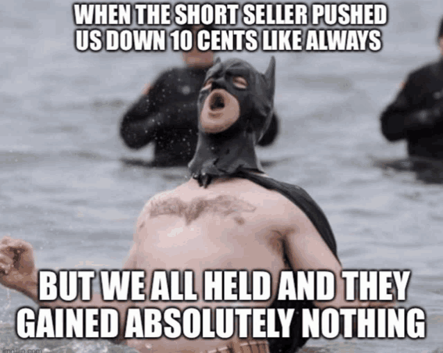 a shirtless man in a batman mask is in the water with the caption " when the short seller pushed us down 10