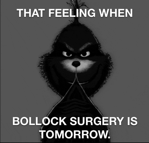 a grinch cartoon with the words that feeling when bollock surgery is tomorrow