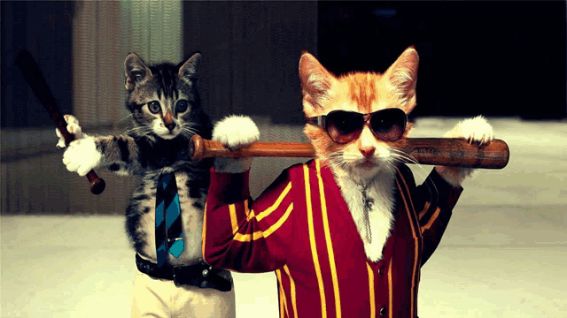 two cats wearing sunglasses and holding a bat and a knife