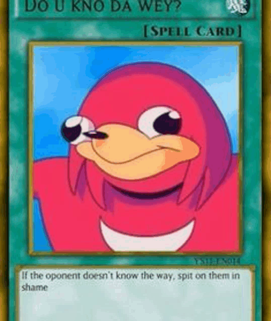 a do u kno da wey spell card from yu gi oh with a picture of knuckles on it .