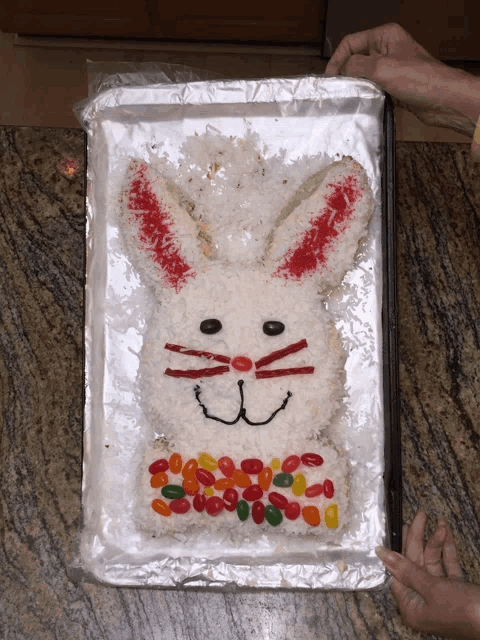 a cake in the shape of a bunny with jelly beans on its chest