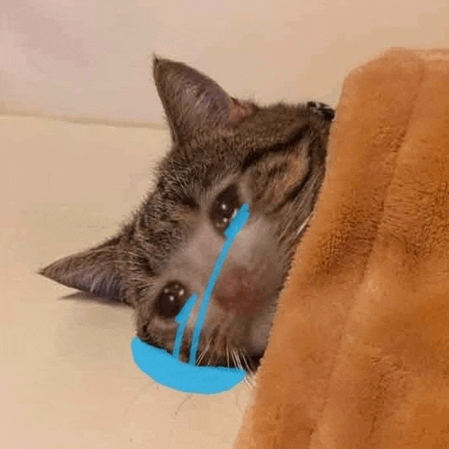 a cat is laying under a blanket with a blue tear coming out of its eye .