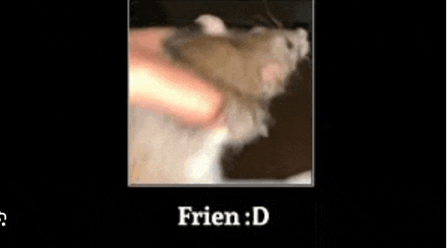 a picture of a hamster being petted by a person with the words frien : d on the bottom .