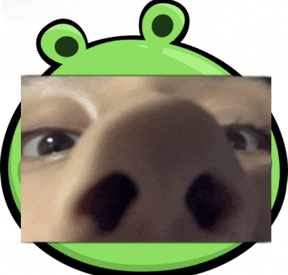 a close up of a person 's face with a green frog behind it