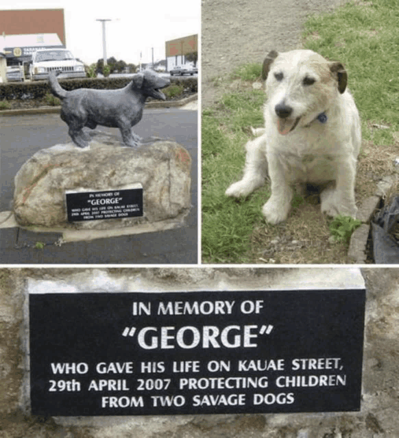 in memory of george who gave his life on kauae street