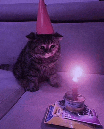 a cat wearing a party hat sits next to a can of cat food