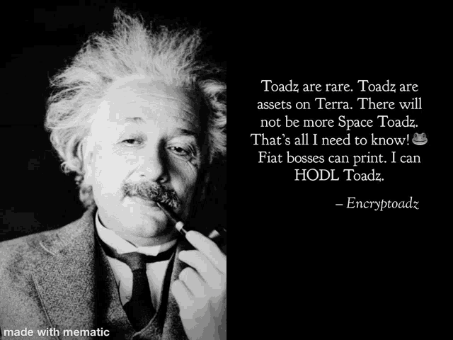 a black and white photo of albert einstein smoking a pipe next to a quote from encryptoadz