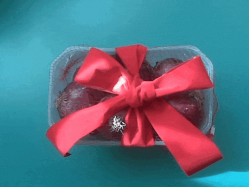 a plastic container of food with a red bow on it