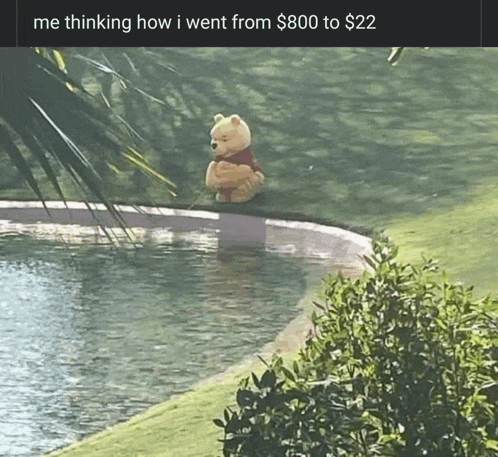 a winnie the pooh teddy bear is sitting on a ledge overlooking a body of water .