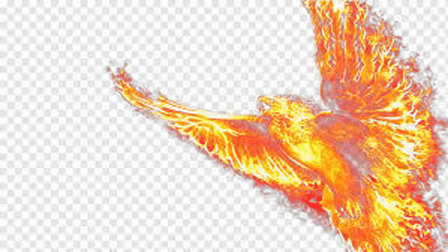 a flaming bird is flying in the air with its wings outstretched