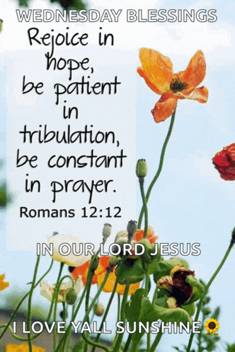 wednesday blessings rejoice in hope be patient in tribulation be constant in prayer in our lord jesus