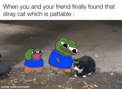 two frogs standing next to a cat with the caption when you and your friend finally found that stray cat