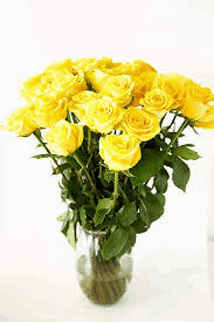 a vase filled with yellow roses on a white background