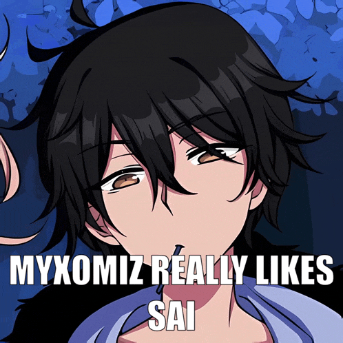 a cartoon of a boy with the words myxomiz really likes sai below him