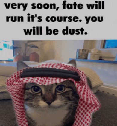 a cat wearing a head scarf and a very soon fate will run it 's course you will be dust