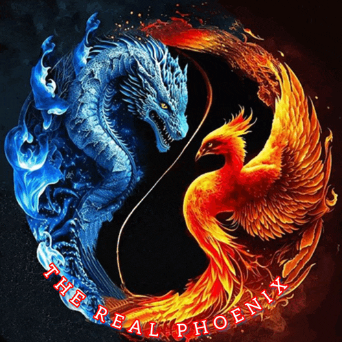 a blue dragon and a red phoenix in a circle with the words " the real phoenix " below them