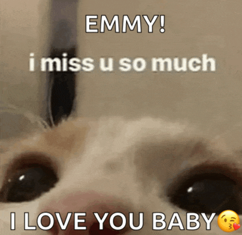 a close up of a cat 's face with the words emmy i miss u so much and i love you baby