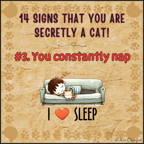 a poster that says 14 signs that you are secretly a cat # 3 you constantly nap i sleep