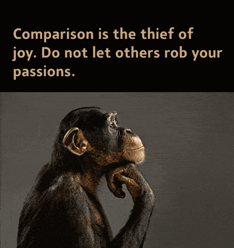 a picture of a chimpanzee with the words " comparison is the thief of joy do not let others rob your passions "