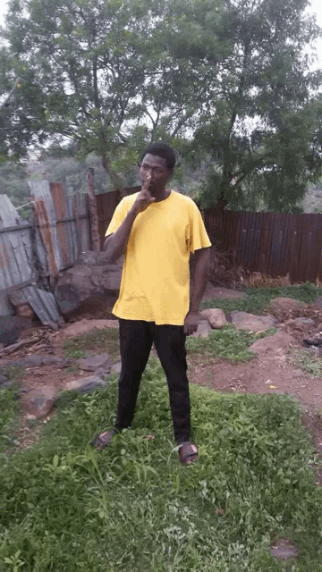 a man in a yellow shirt stands in a grassy area