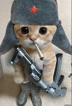 a cat wearing a hat and holding a gun and a cigarette .