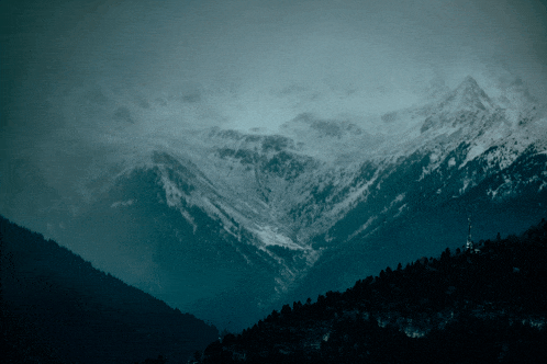 a snowy mountain with trees on the slopes