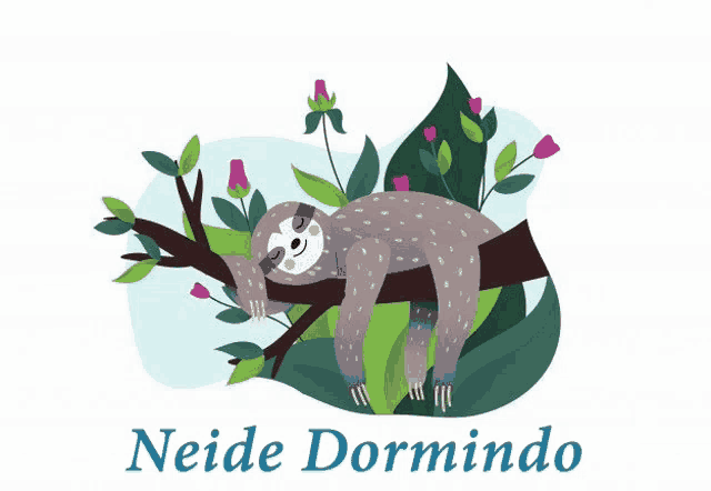 an illustration of a sloth sleeping on a tree branch with the name nadie dormindo below it