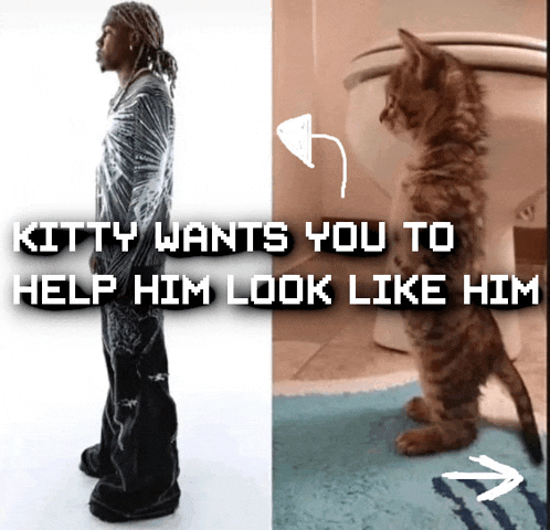 kitty wants you to help him look like him with a picture of a man and a kitten