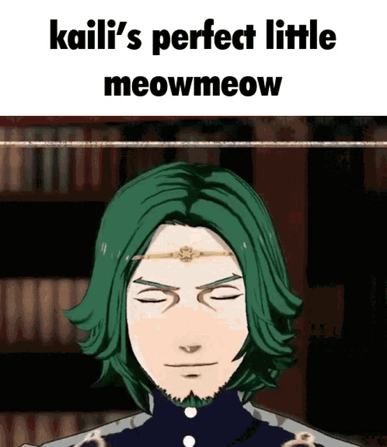 kaili 's perfect little meowmeow is written above a cartoon of a man with green hair