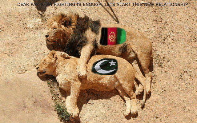 a couple of lions laying on the ground with the words " dear pakistan fighting is enough let 's start this new relationship " above them