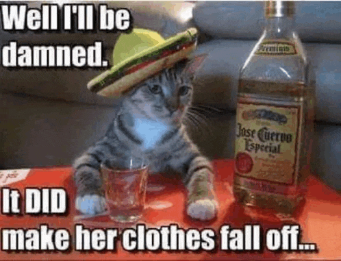 a cat wearing a sombrero is sitting next to a bottle of jose cuervo especial tequila .